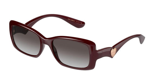 Dolce & Gabbana Transparent Bordeaux Grey Gradient Sunglasses