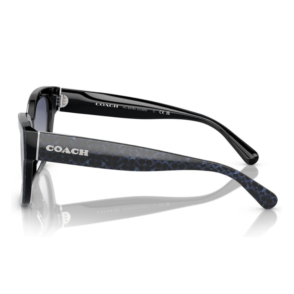 Coach Women's HC8379U Butterfly Gradient Sunglasses