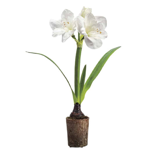 Macetero de flores de bulbo de amarilis de seda floral de Allstate - Blanco