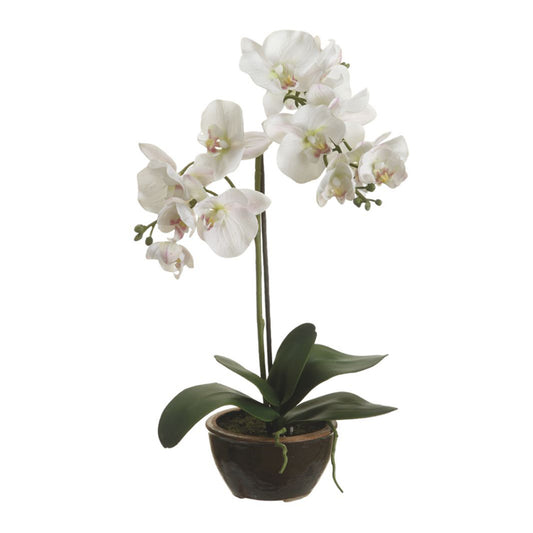 Macetero de flores de orquídea Phalaenopsis de seda floral de Allstate, color blanco