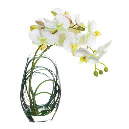 Arreglo floral de orquídeas Phalaenopsis de seda de 11" en jarrón de vidrio de Allstate Floral - Blanco