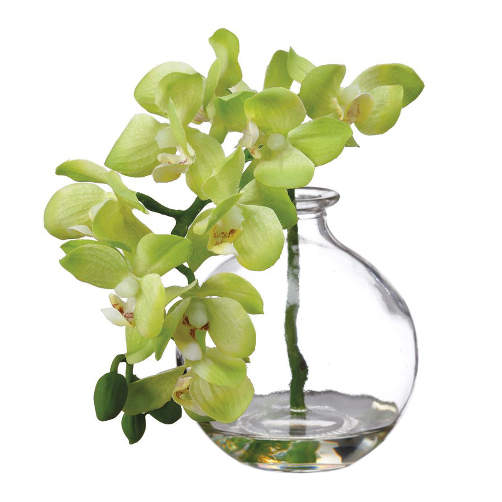 Arreglo floral de orquídeas Phalaenopsis de seda de 10" en jarrón de vidrio de Allstate Floral - Verde