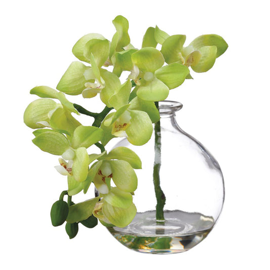 Arreglo floral de orquídeas Phalaenopsis de seda de 10" en jarrón de vidrio de Allstate Floral - Verde