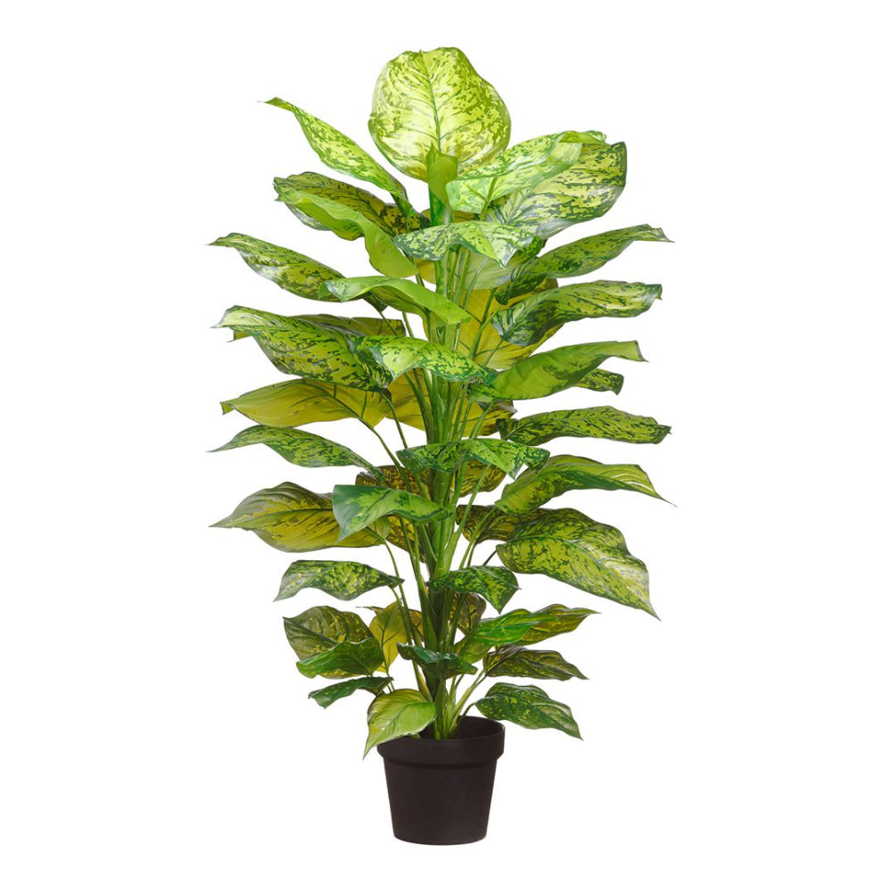 Allstate Floral 40" Silk Dieffenbachia Plant in Pot - Two-Tone Green