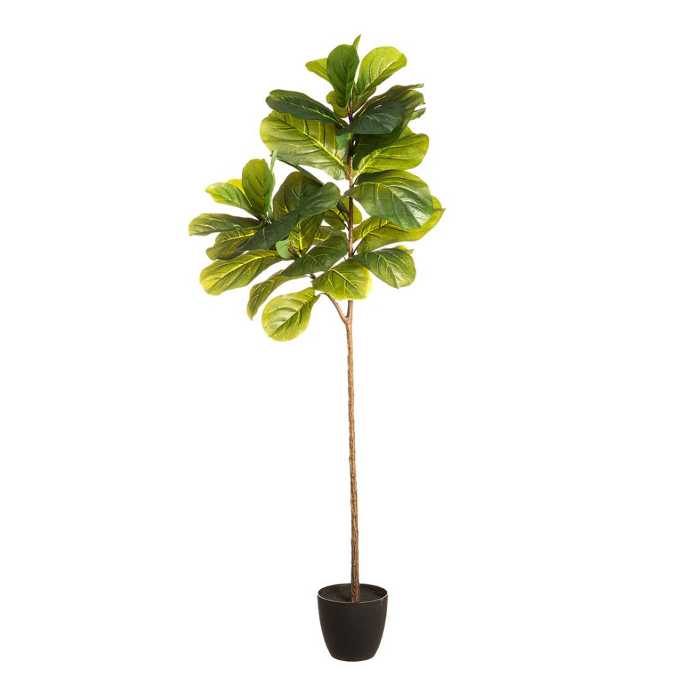 Planta de hoja de violín Allstate Floral de 67" en maceta - Verde