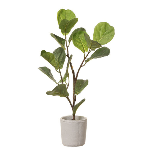 Allstate Floral 27" Fiddle Leaf Fig Plant in Ceramic Pot - Green