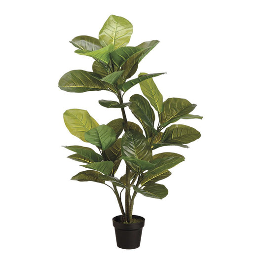 Allstate Floral 51" Large Leaf Rubber Plant in Pot - Green